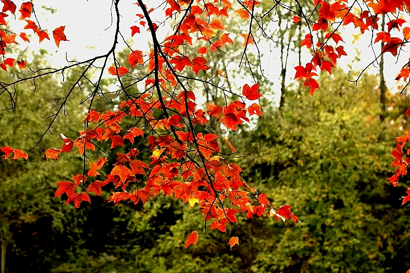 DPP_0316.JPG