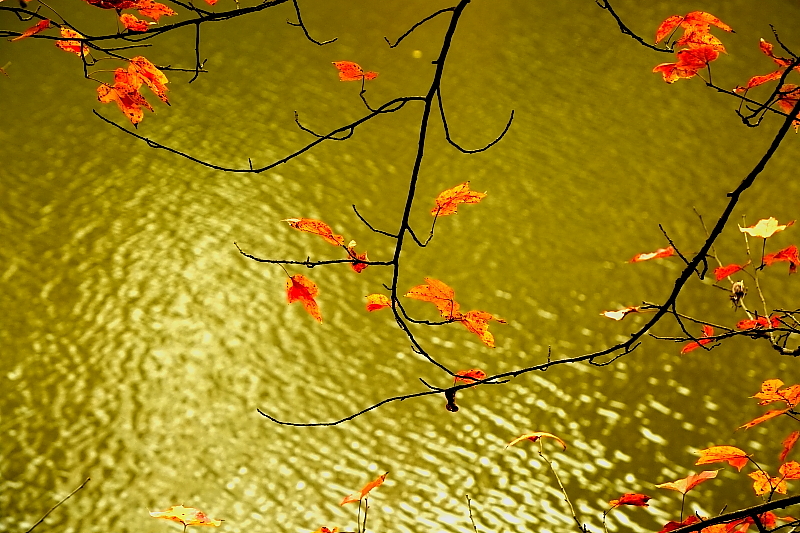 DPP_0317.JPG