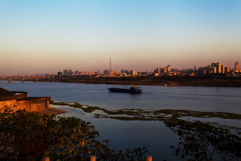 _MG_6935.jpg