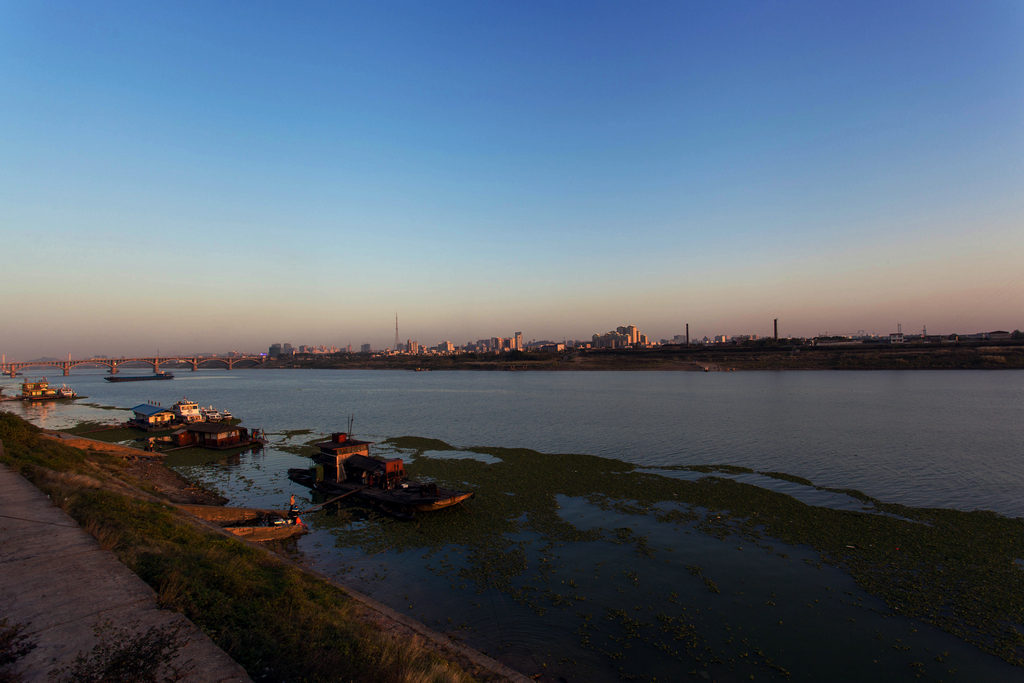 _MG_6939.jpg