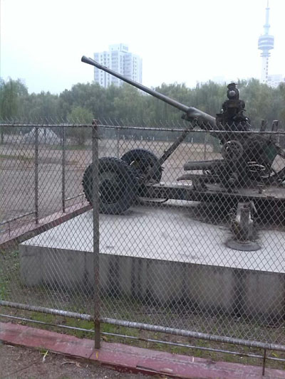 ڻ