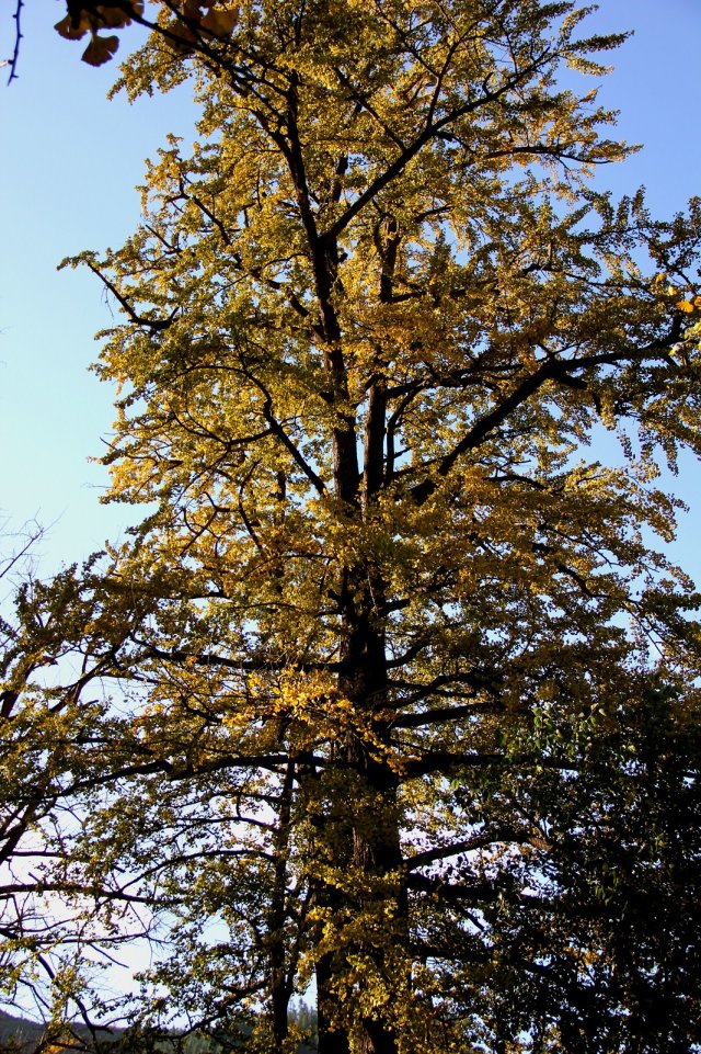 psb (23).jpg