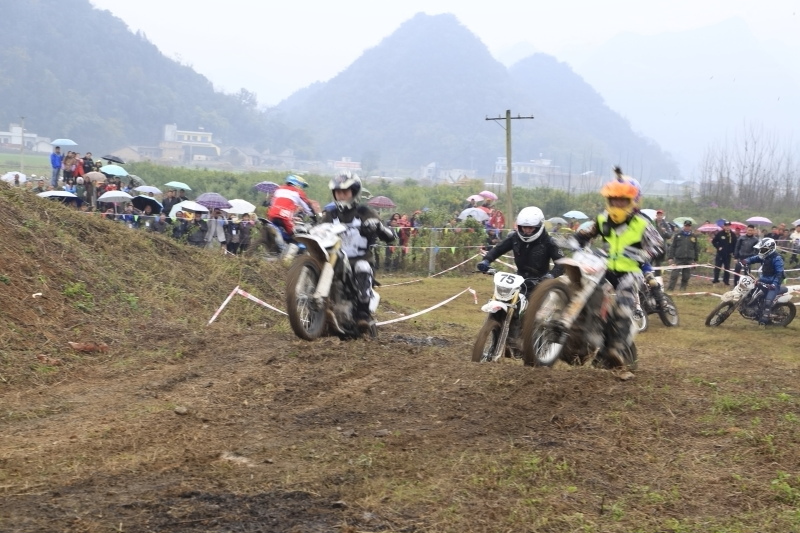 DPP_0377.JPG