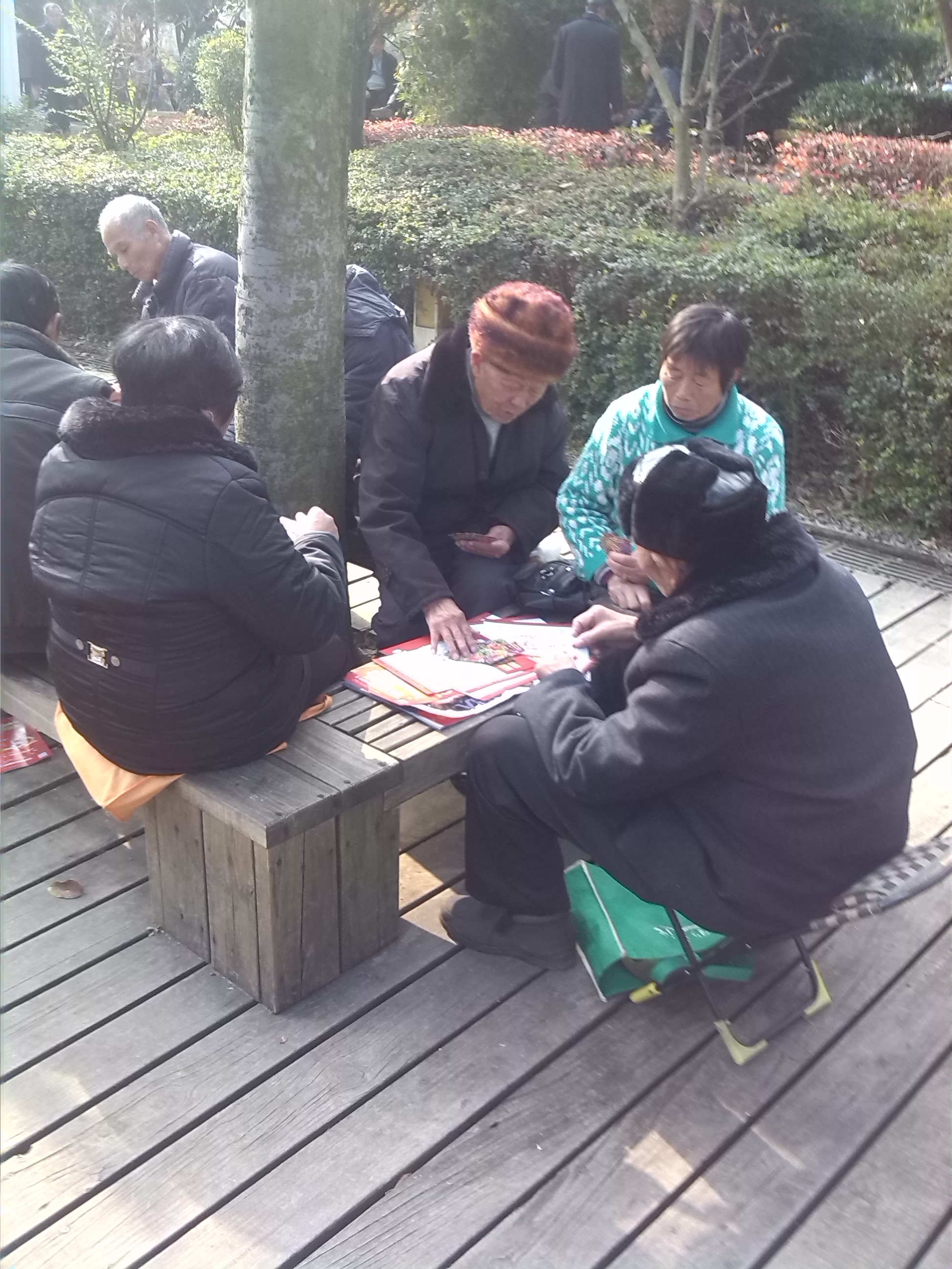 IMG_20131220_152345.jpg