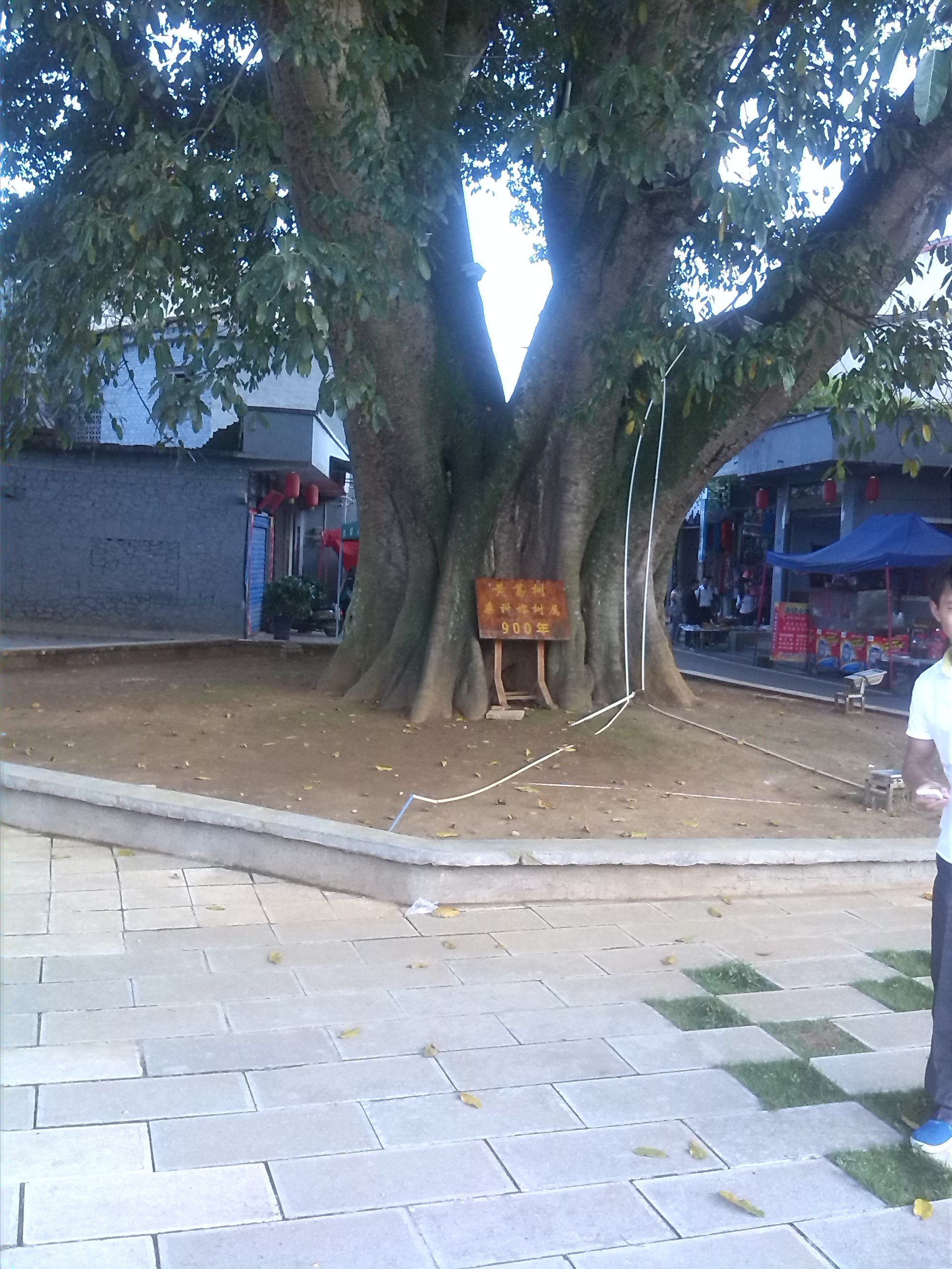 IMG_20130913_181129.jpg