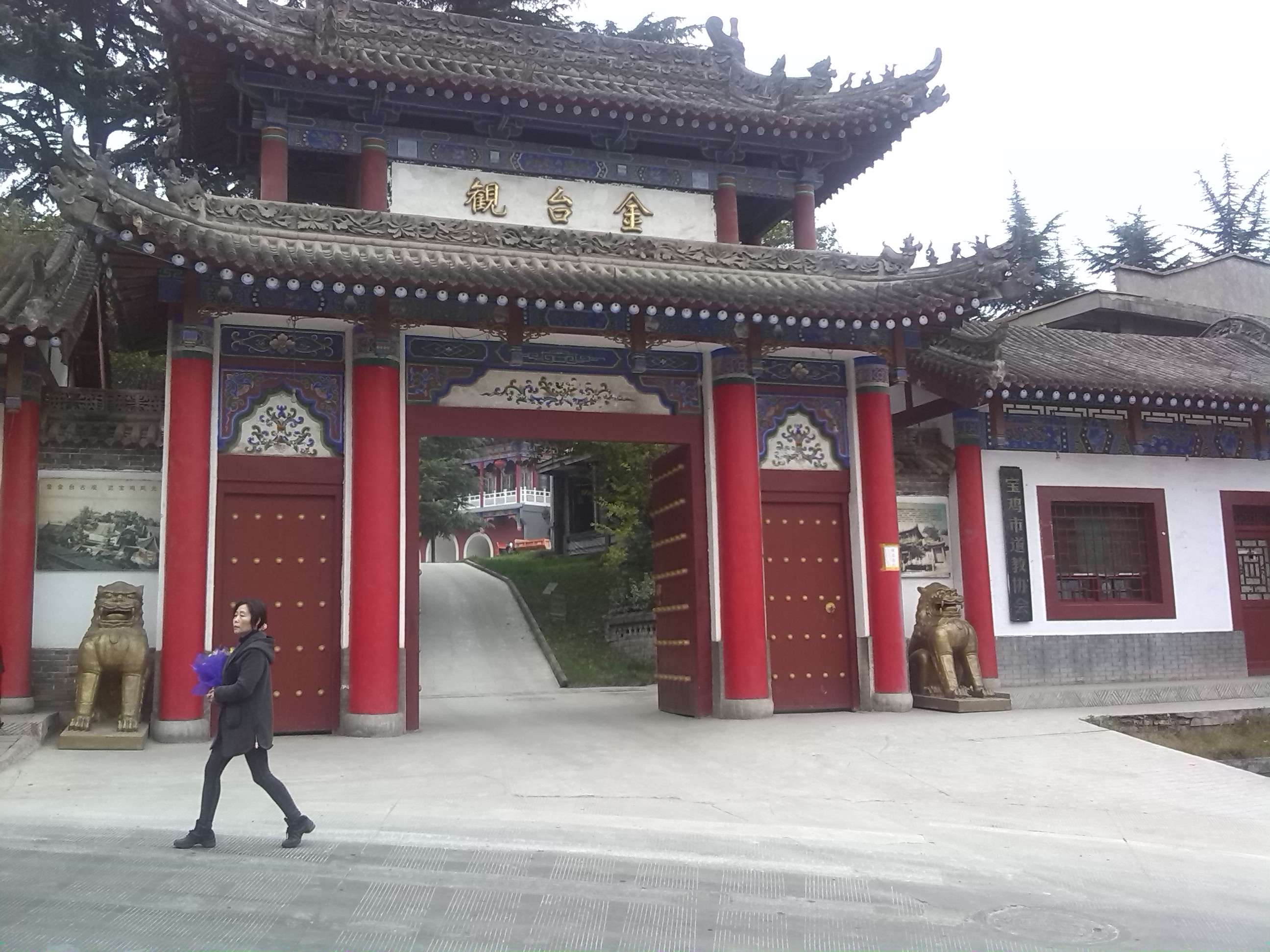 IMG_20131103_121617.jpg