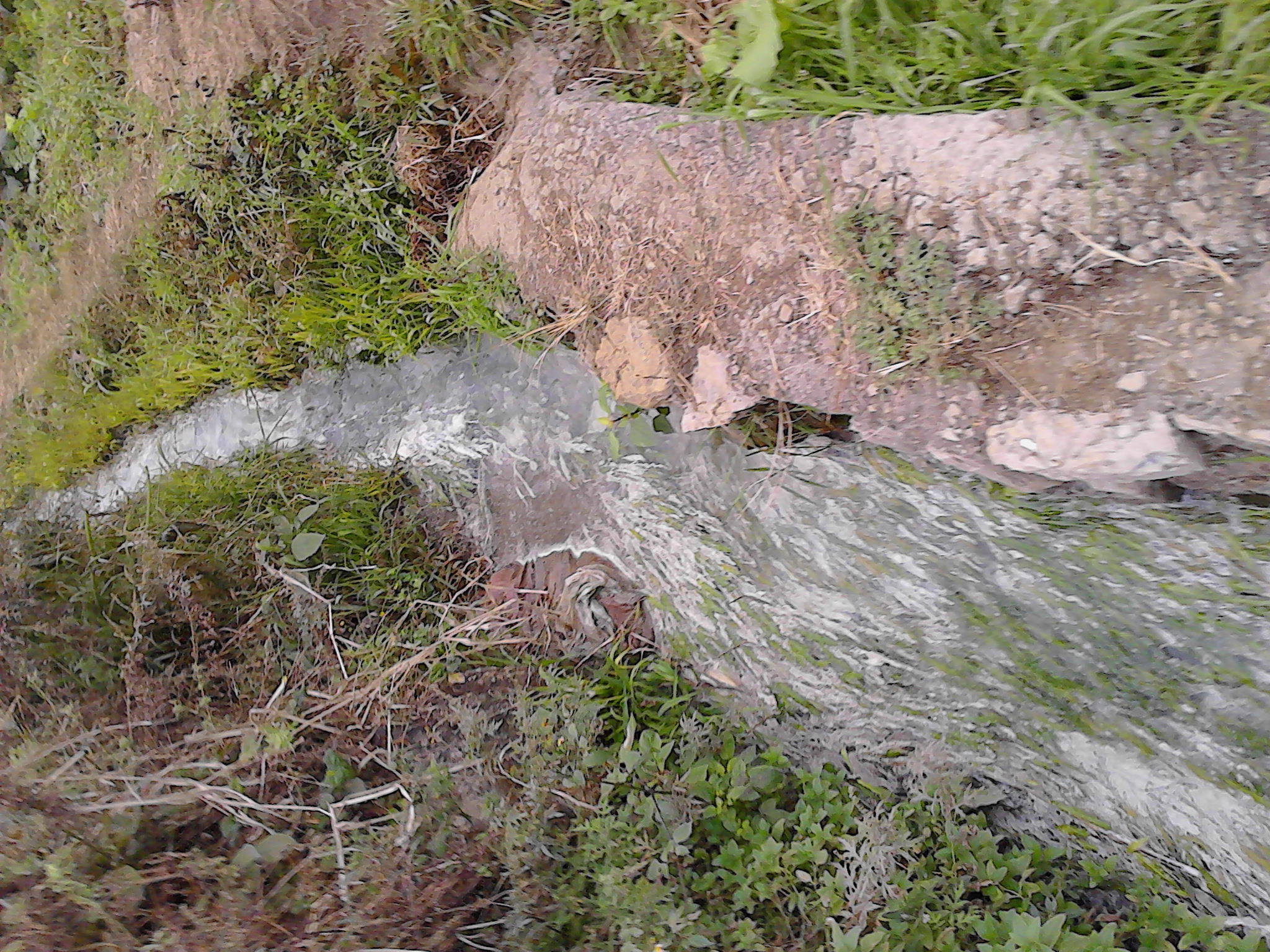 IMG_20131229_135917.jpg