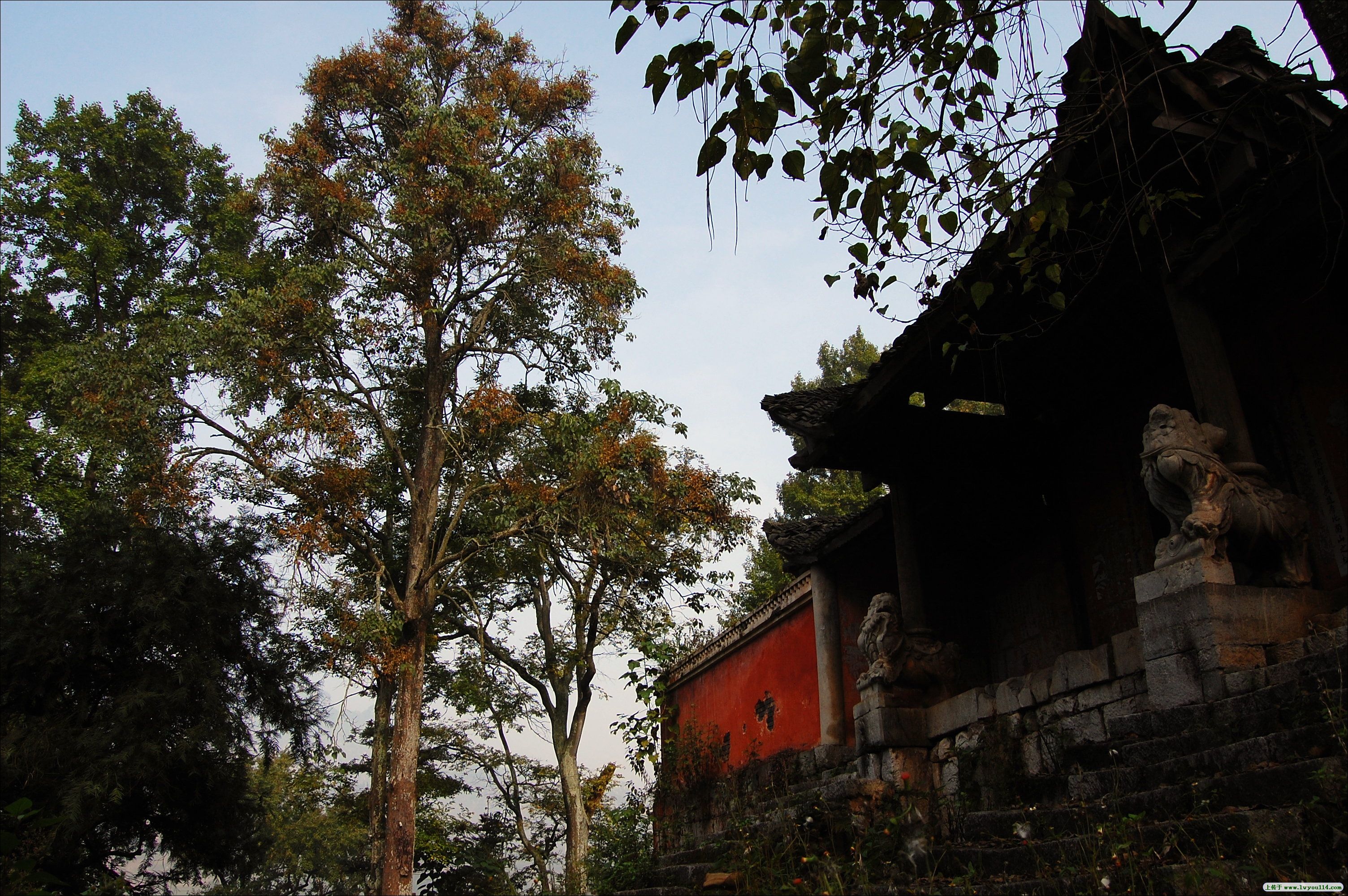 去普安县松岿寺:看古树参天,寺庙掩映