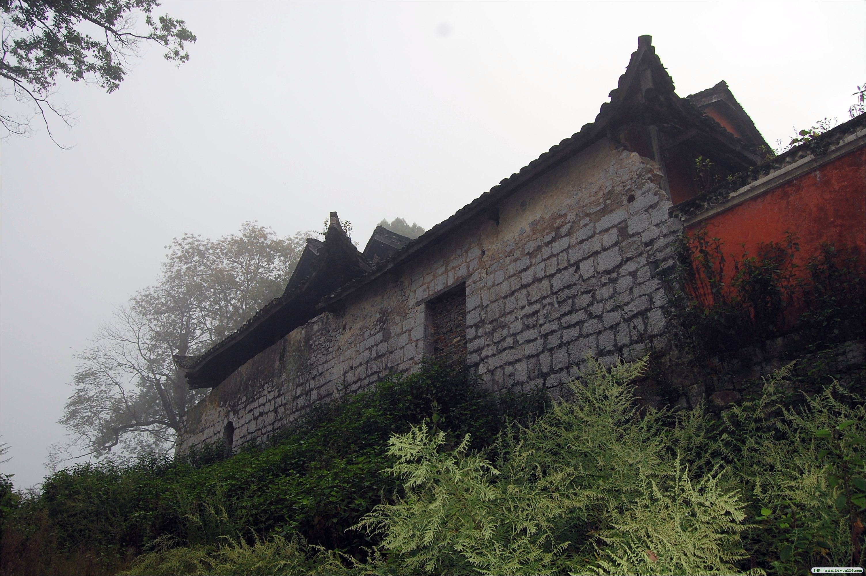 去普安县松岿寺:看古树参天,寺庙掩映