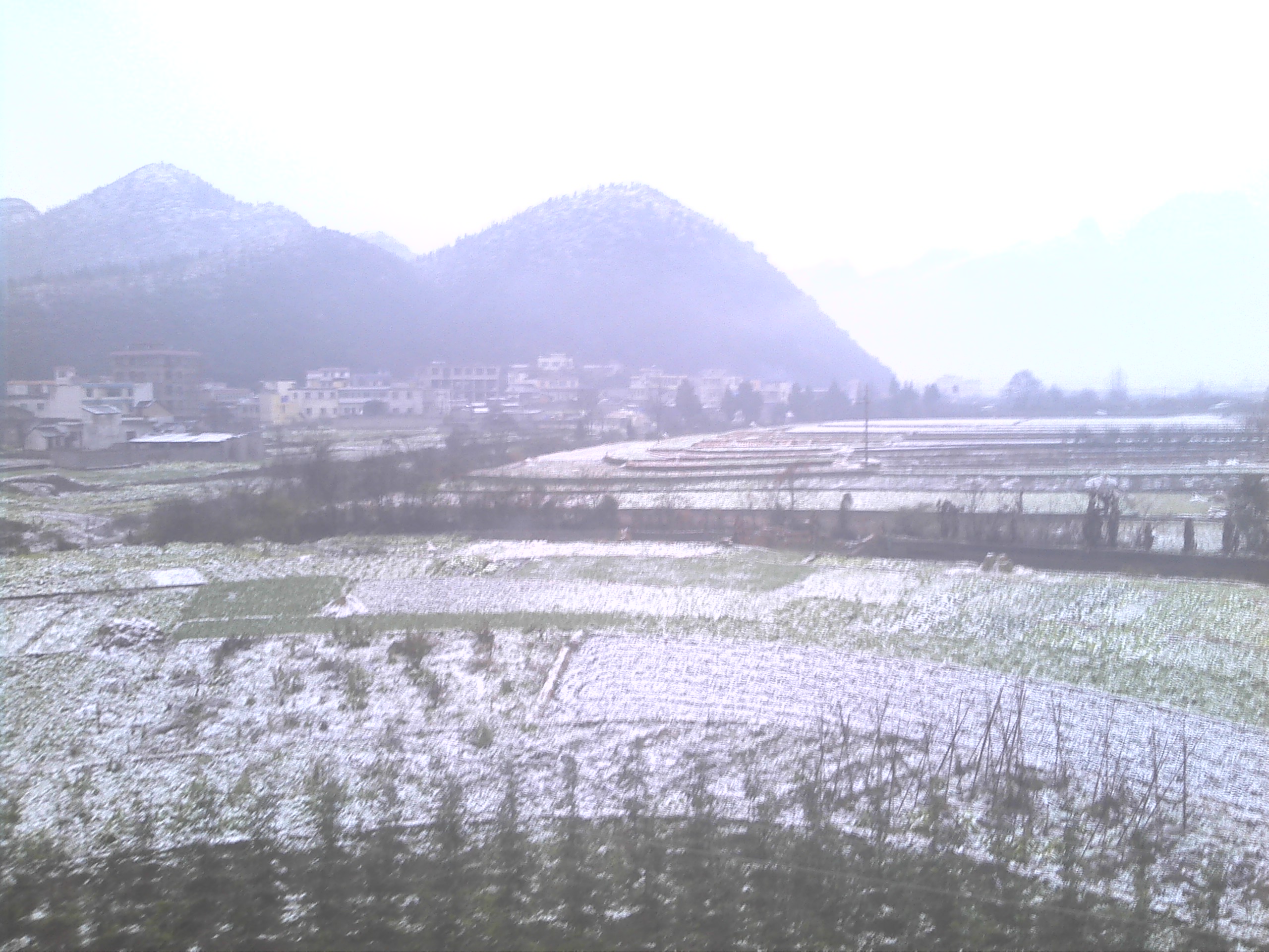 IMG_20140113_075946.jpg