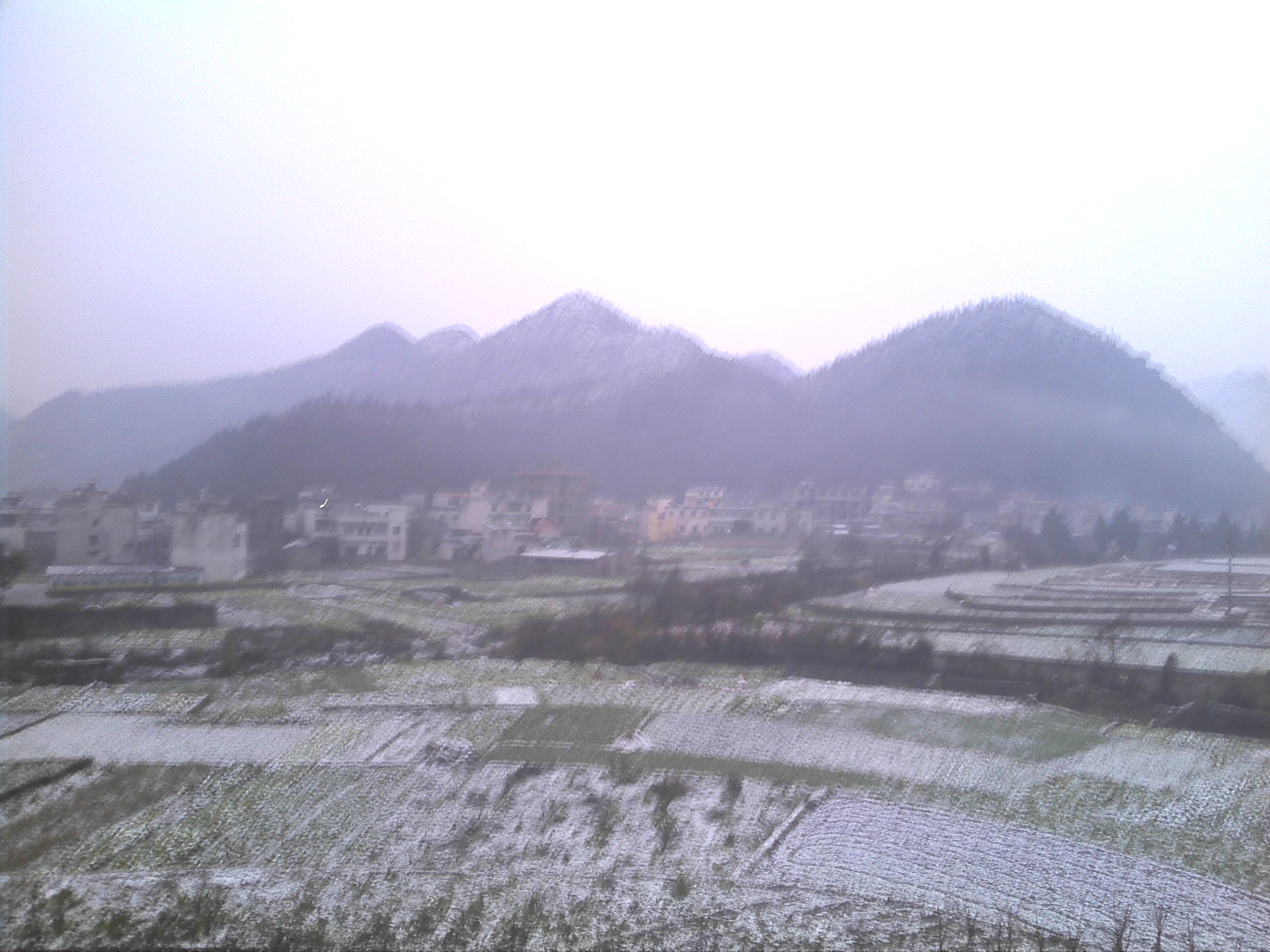 IMG_20140113_080144.jpg