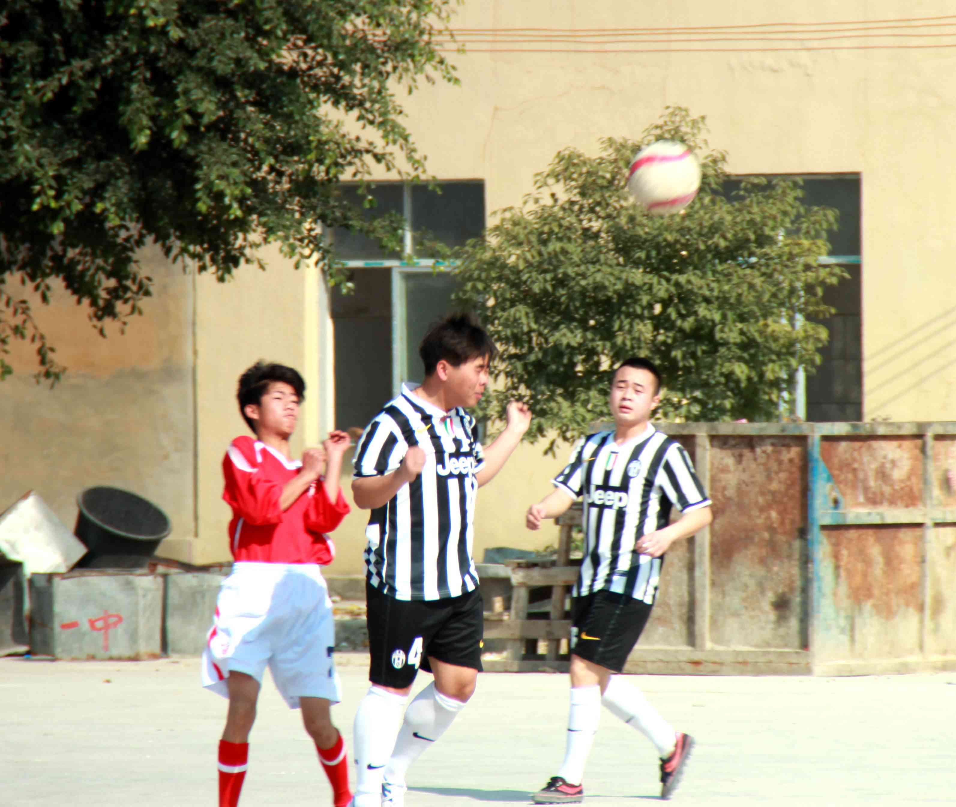 IMG_8146_.jpg