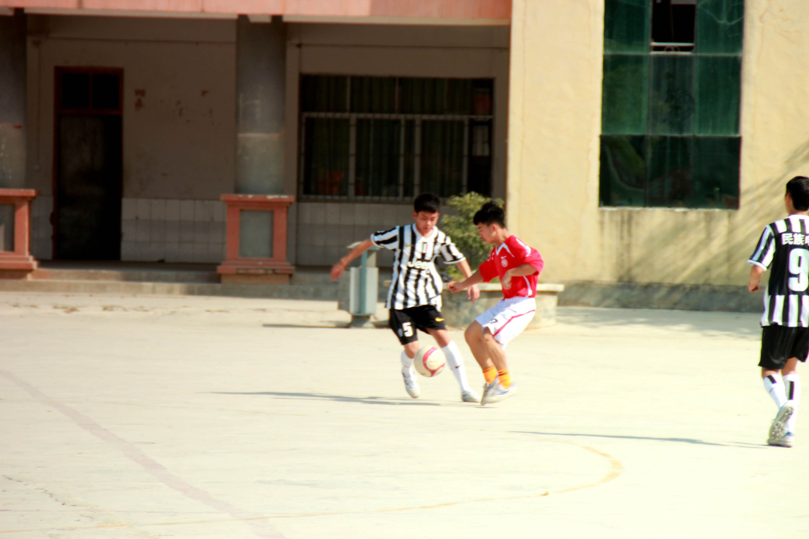 IMG_8136_.jpg