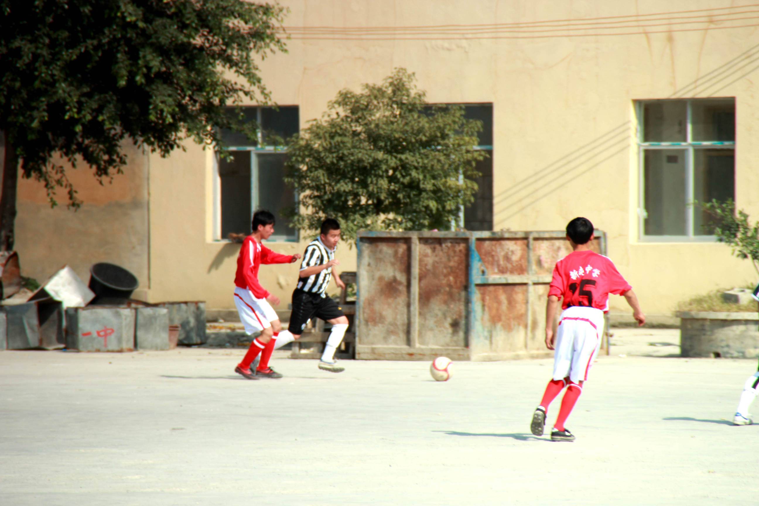 IMG_8147_.jpg