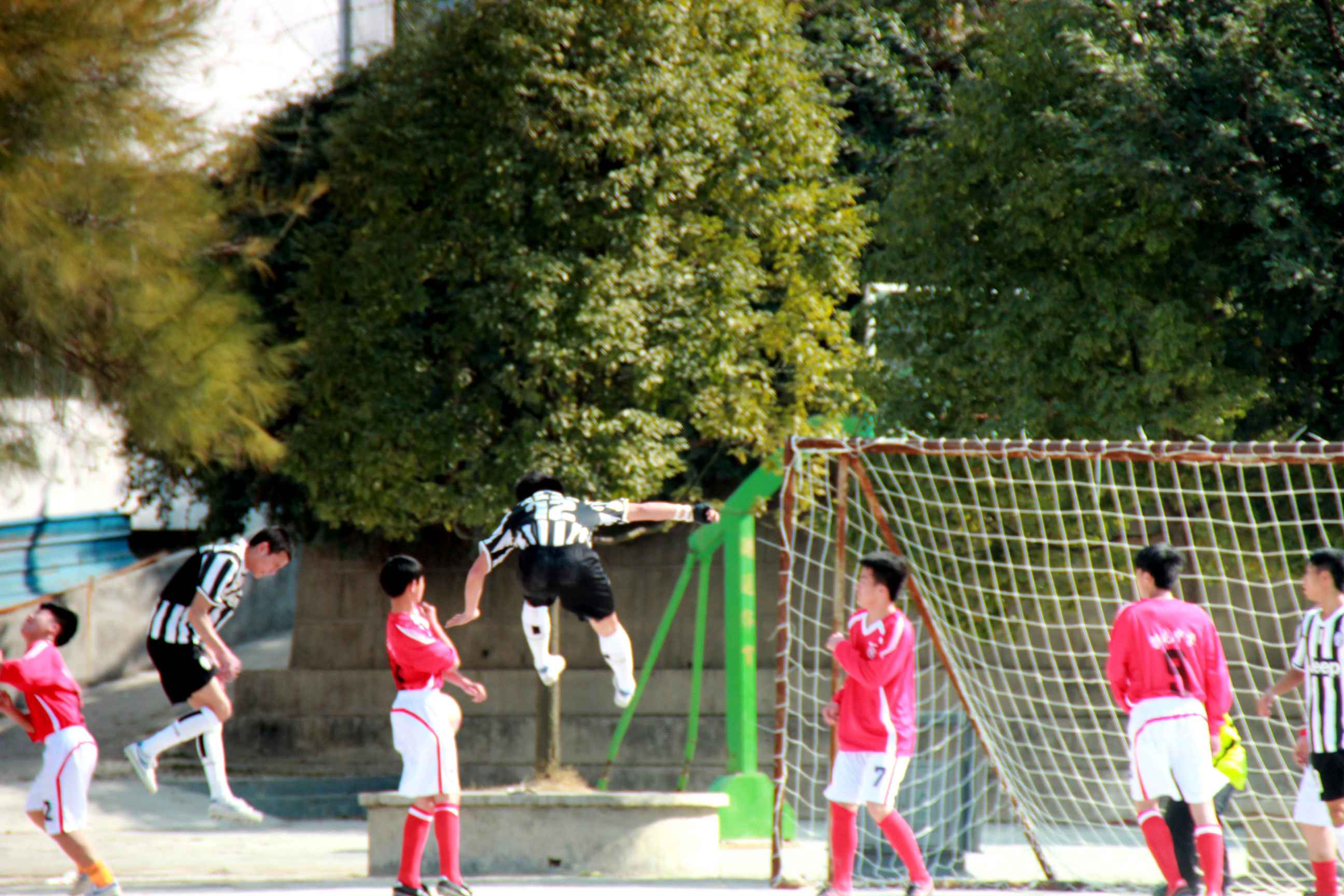 IMG_8149_.jpg