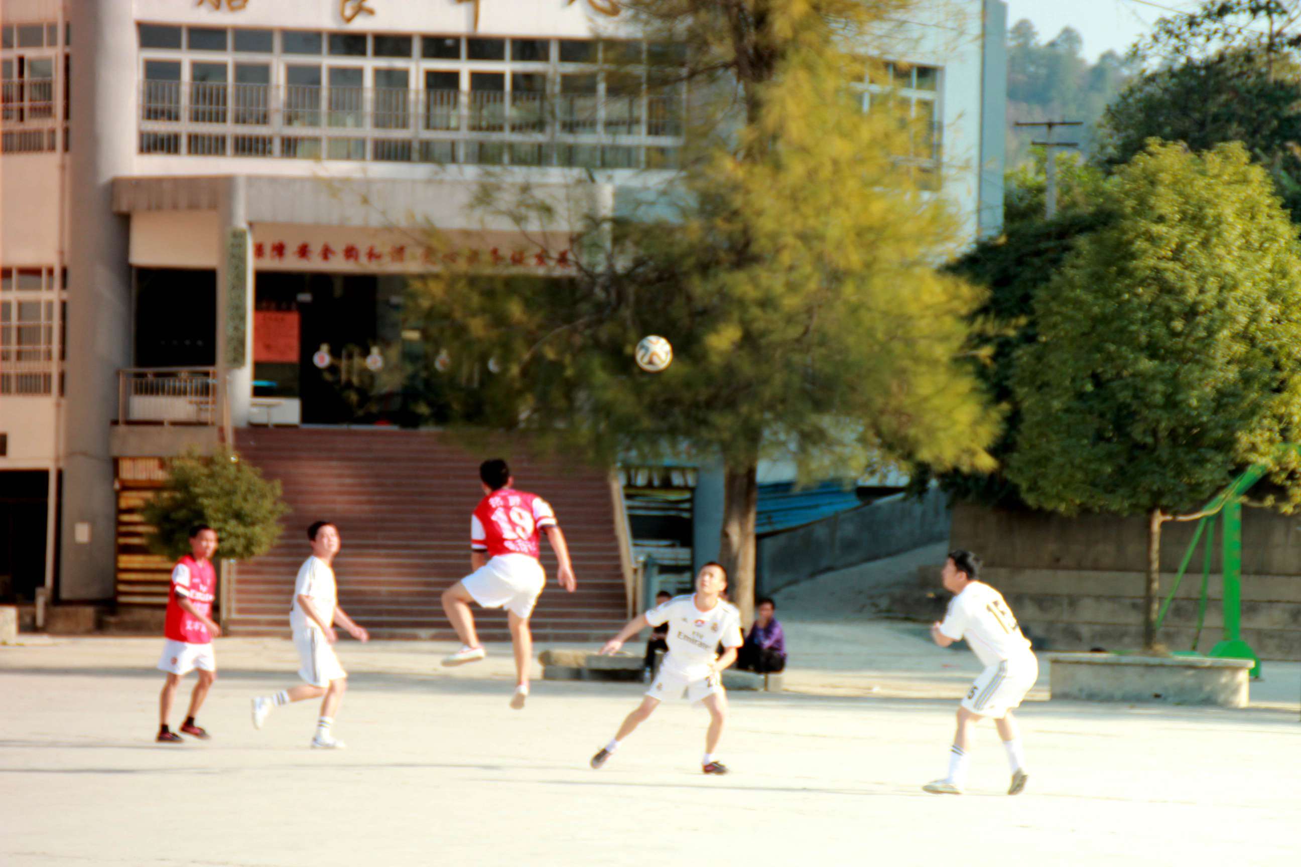 IMG_8163_.jpg