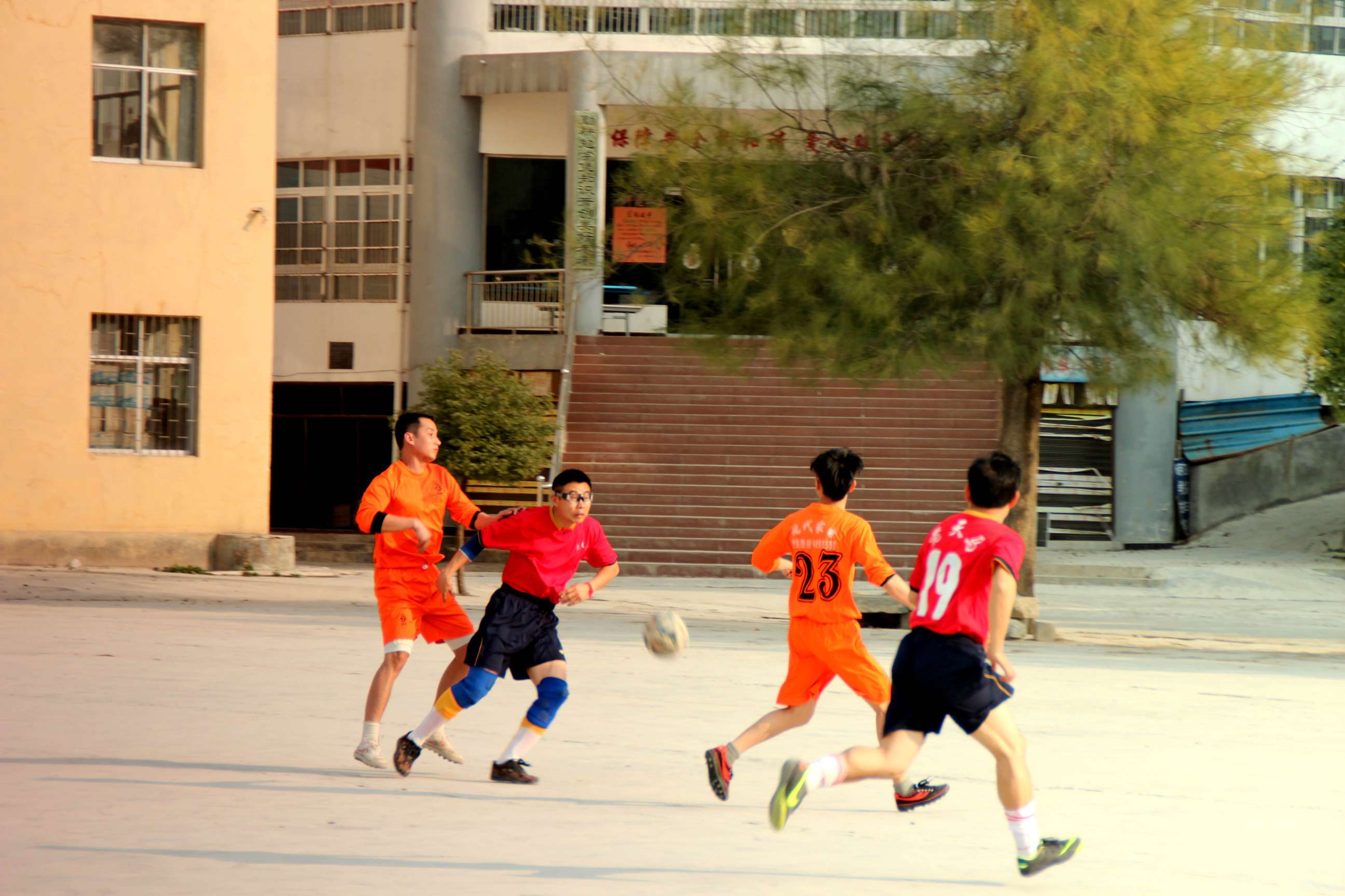 IMG_8200_.jpg