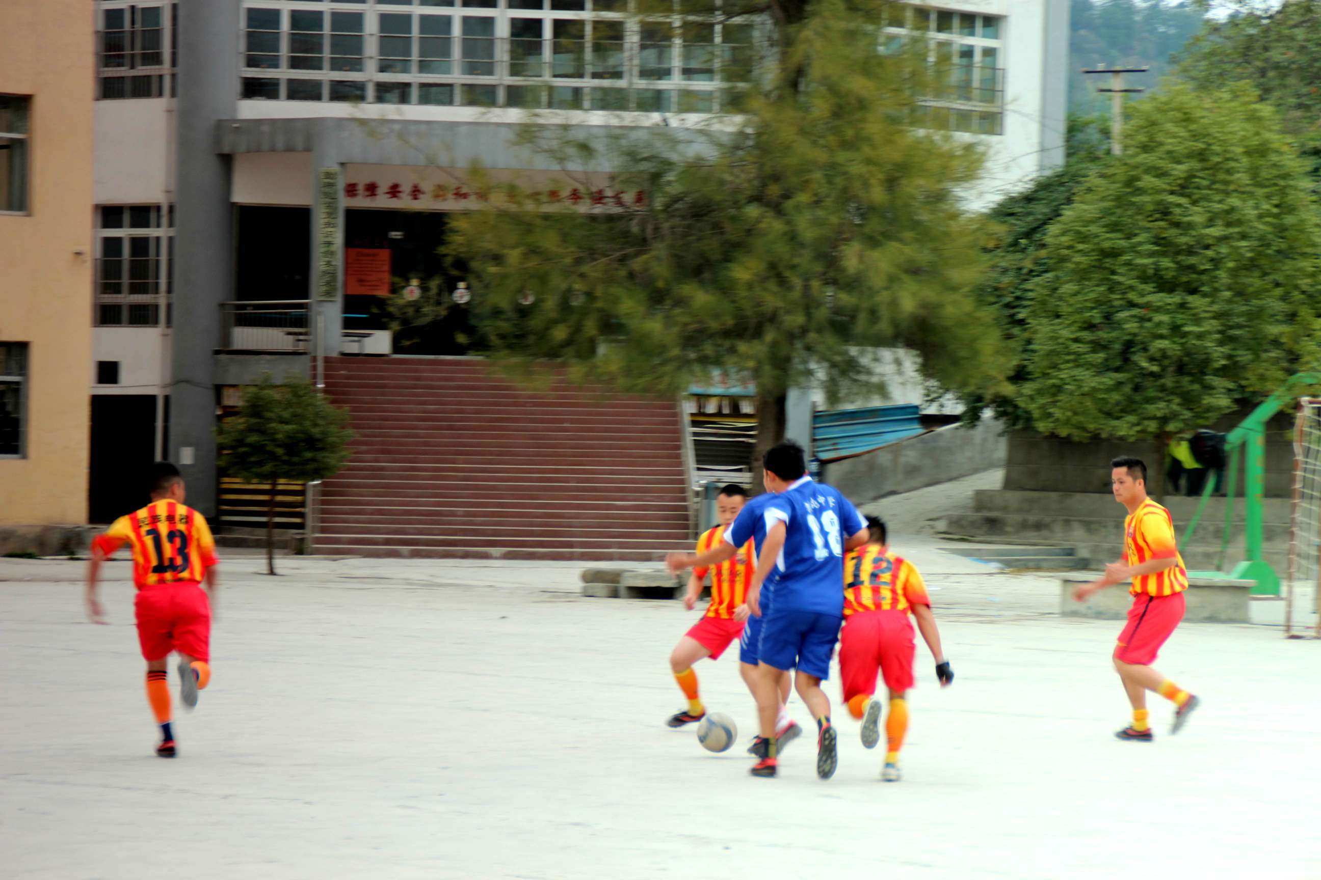 IMG_8233_.jpg