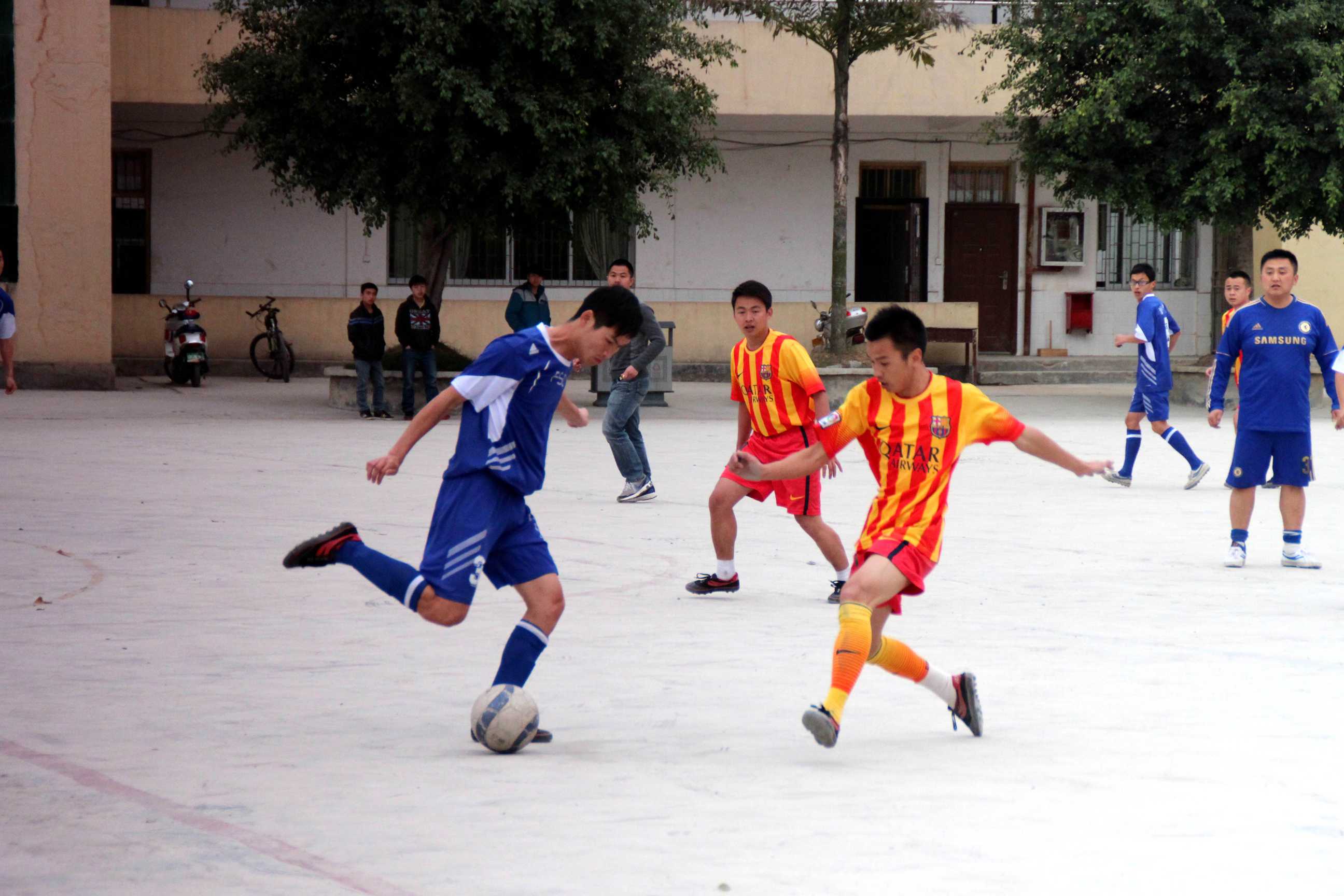 IMG_8250_.jpg