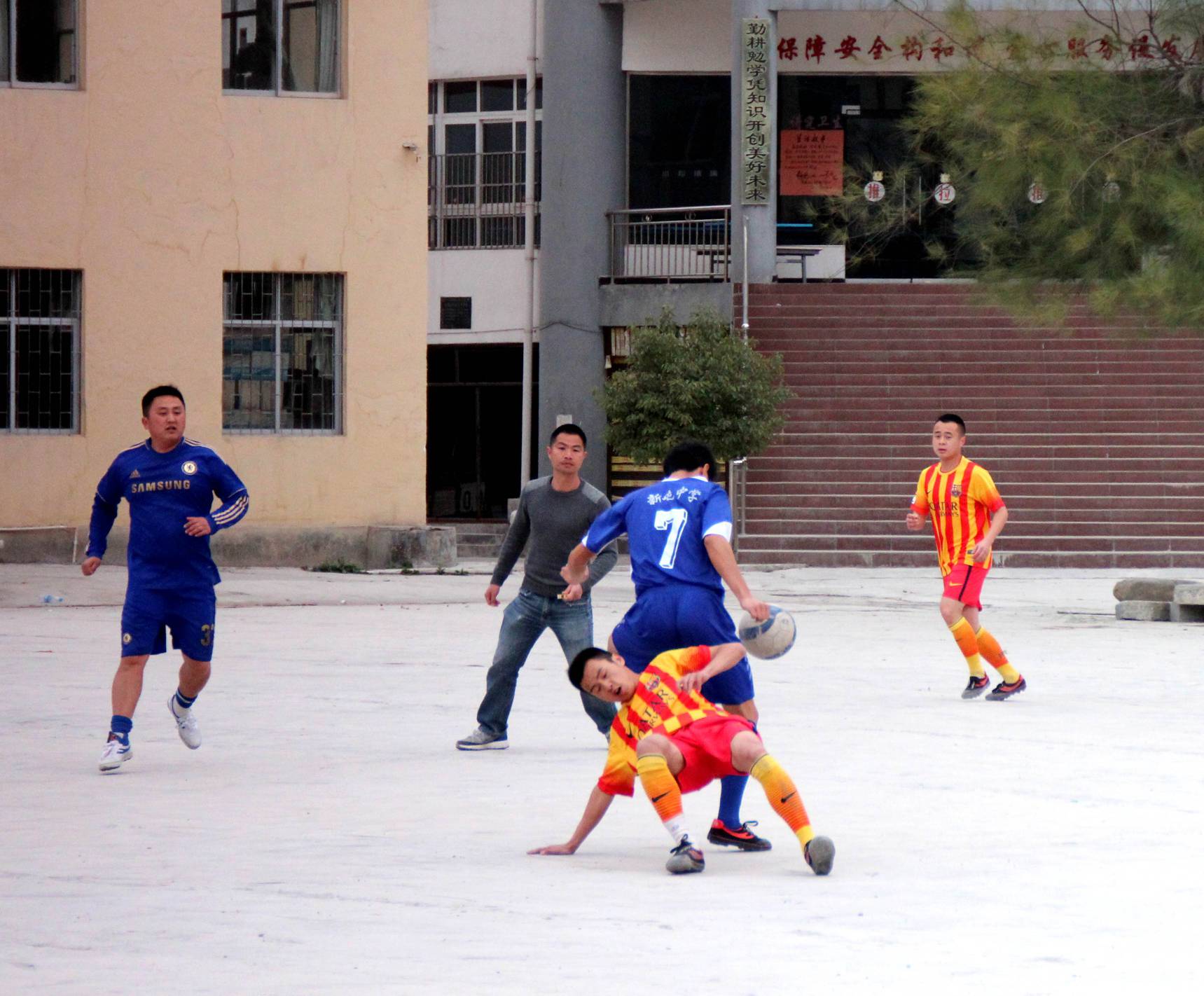 IMG_8249_.jpg