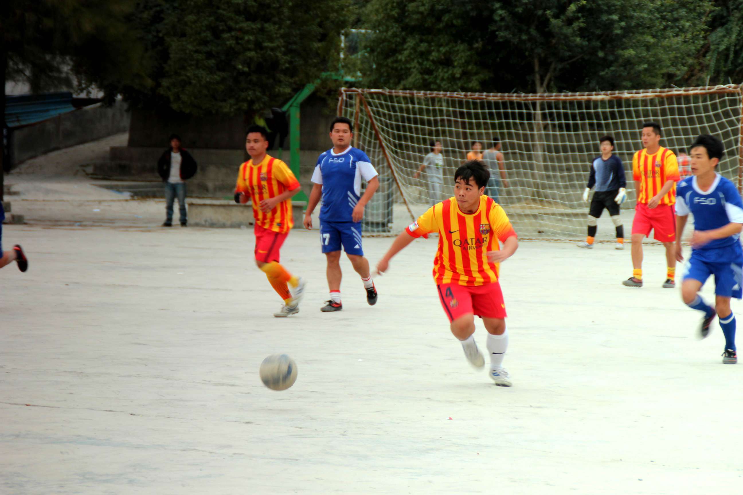 IMG_8265_.jpg