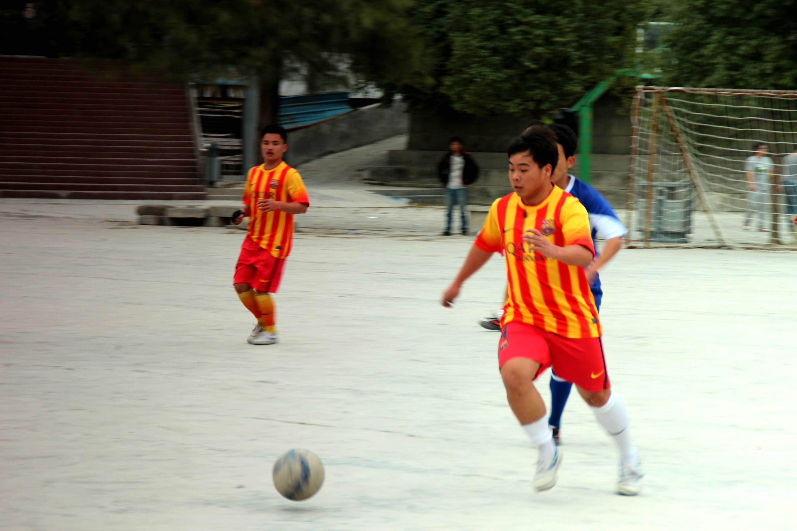 IMG_8266_.jpg