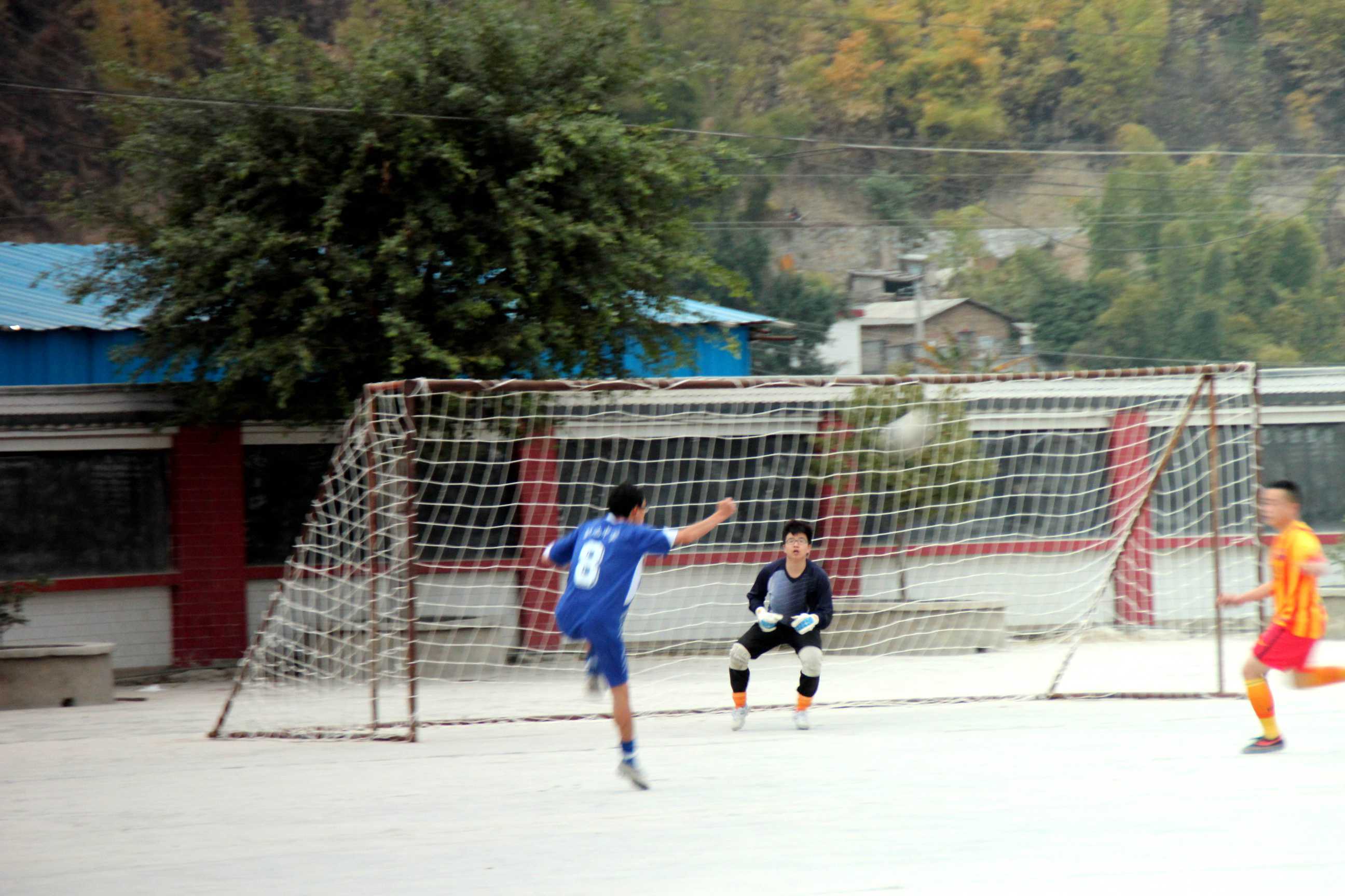 IMG_8335_.jpg