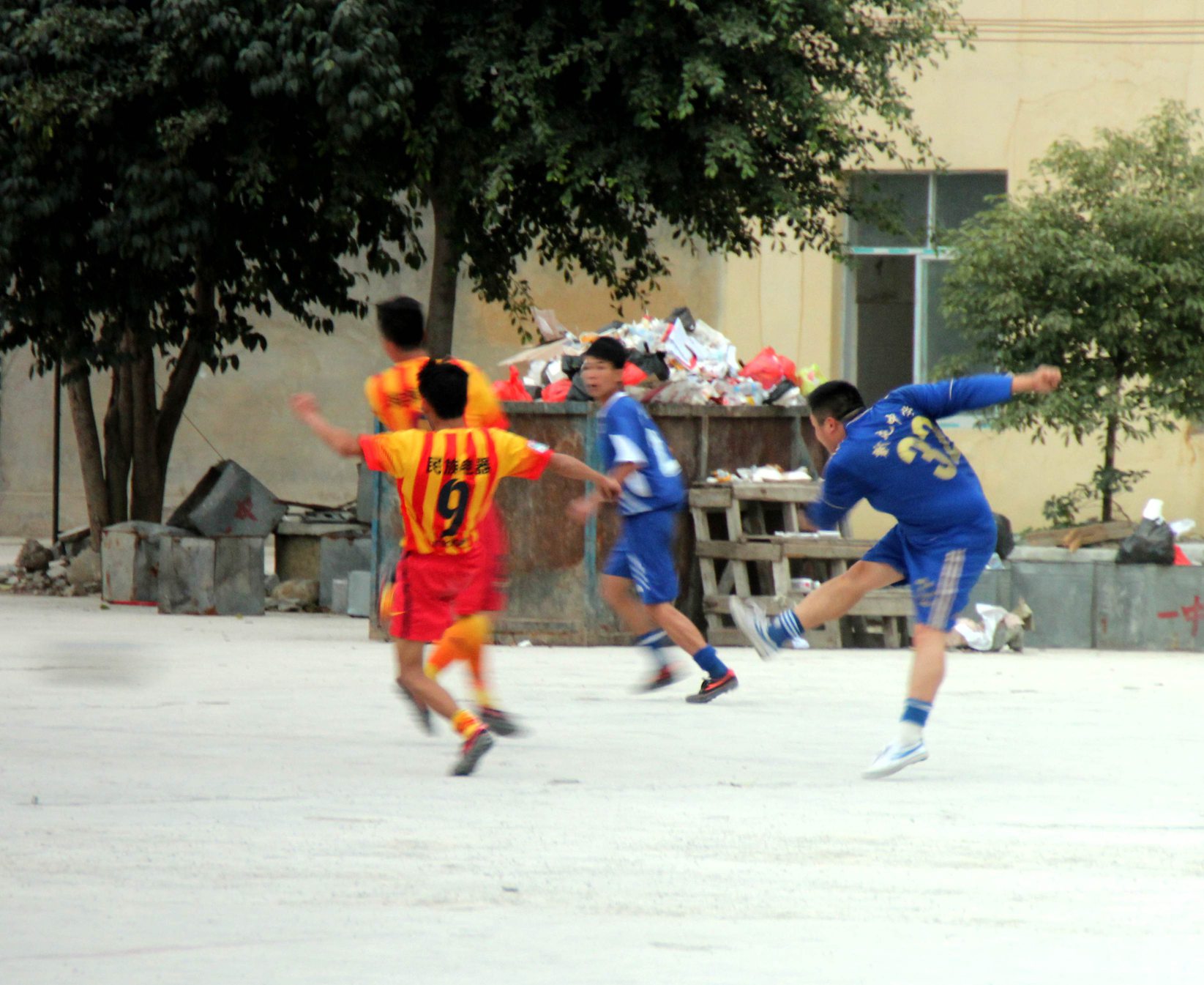 IMG_8341_.jpg