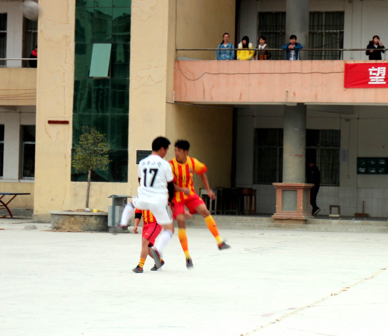 IMG_8437_.jpg