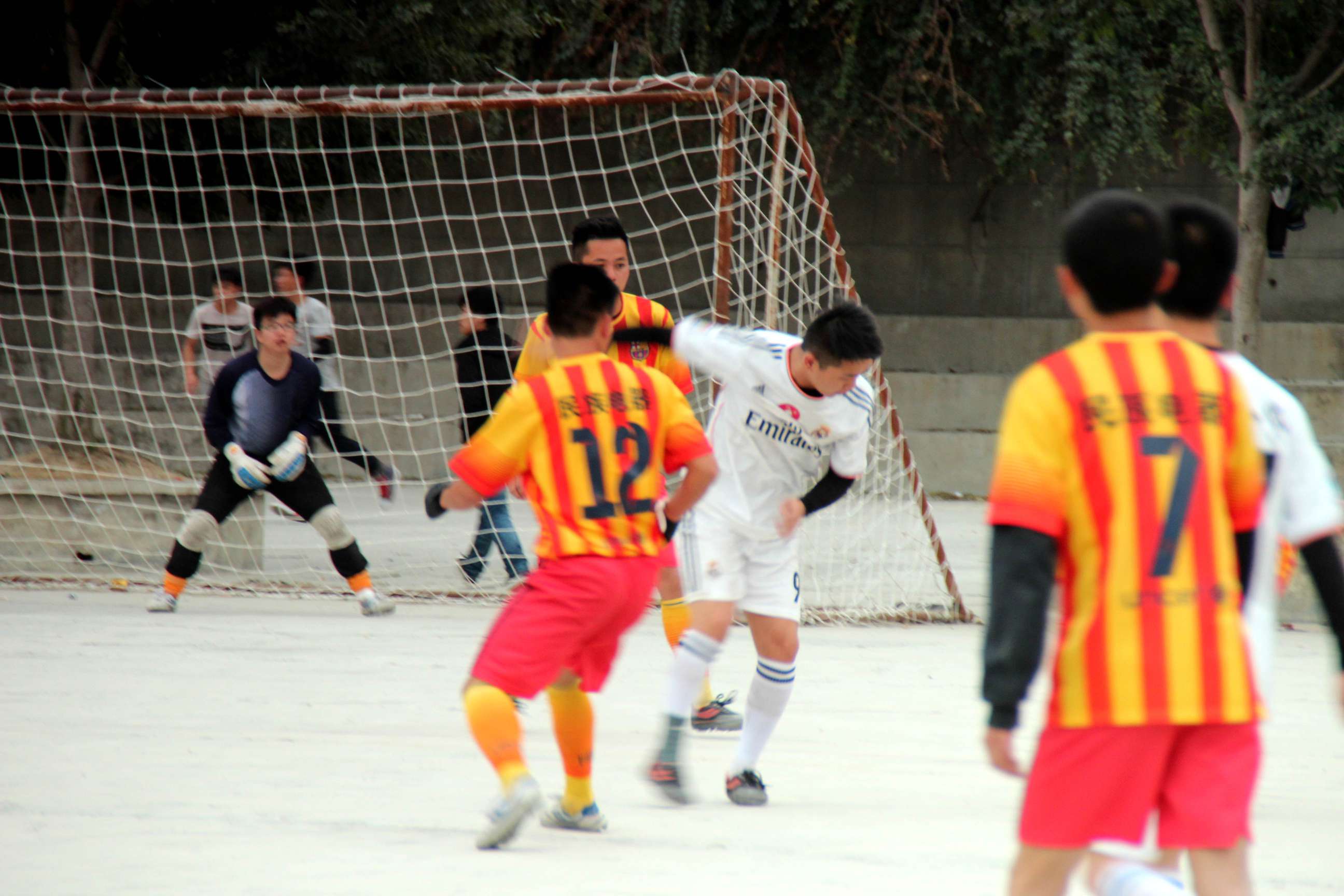 IMG_8441_.jpg