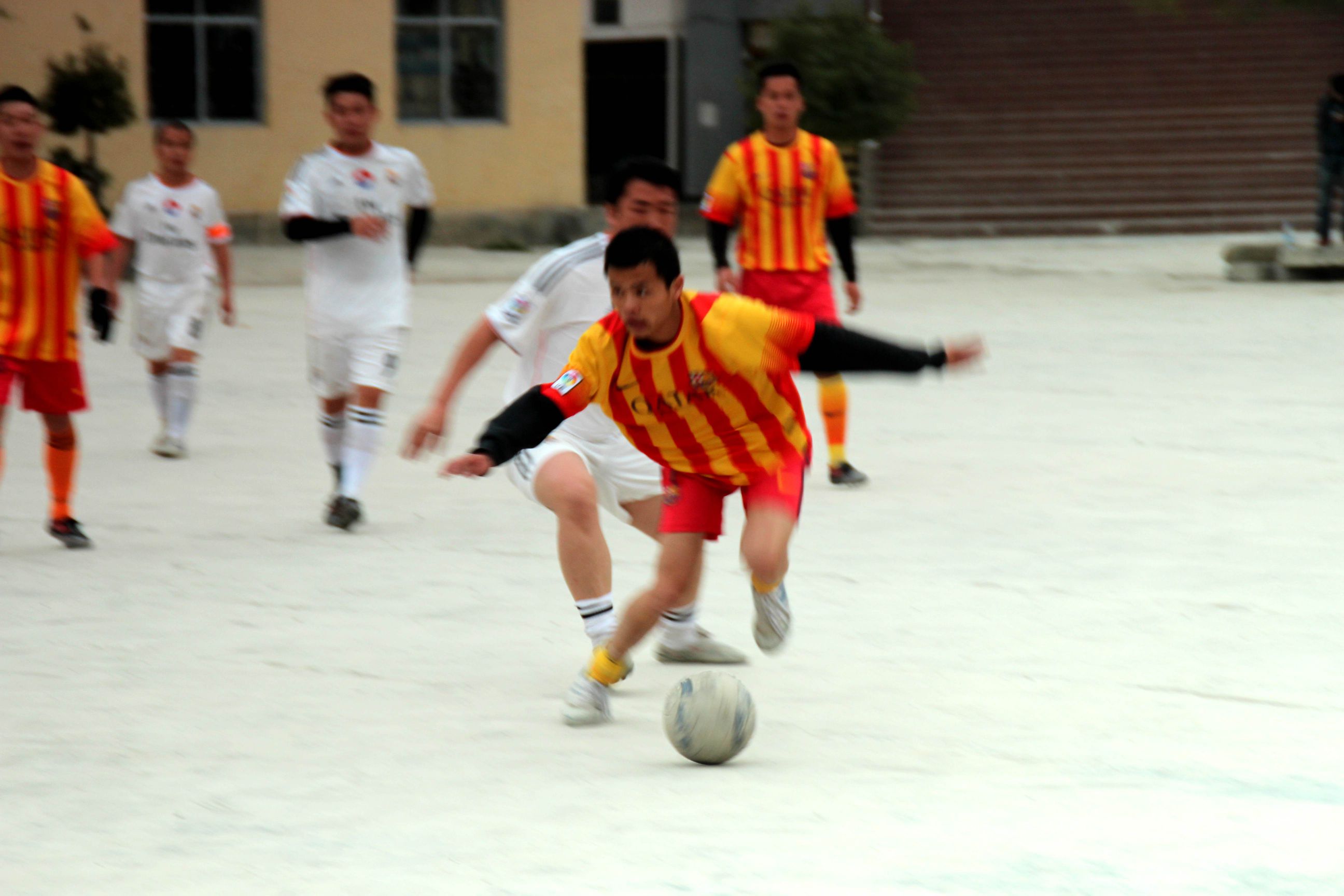 IMG_8445_.jpg