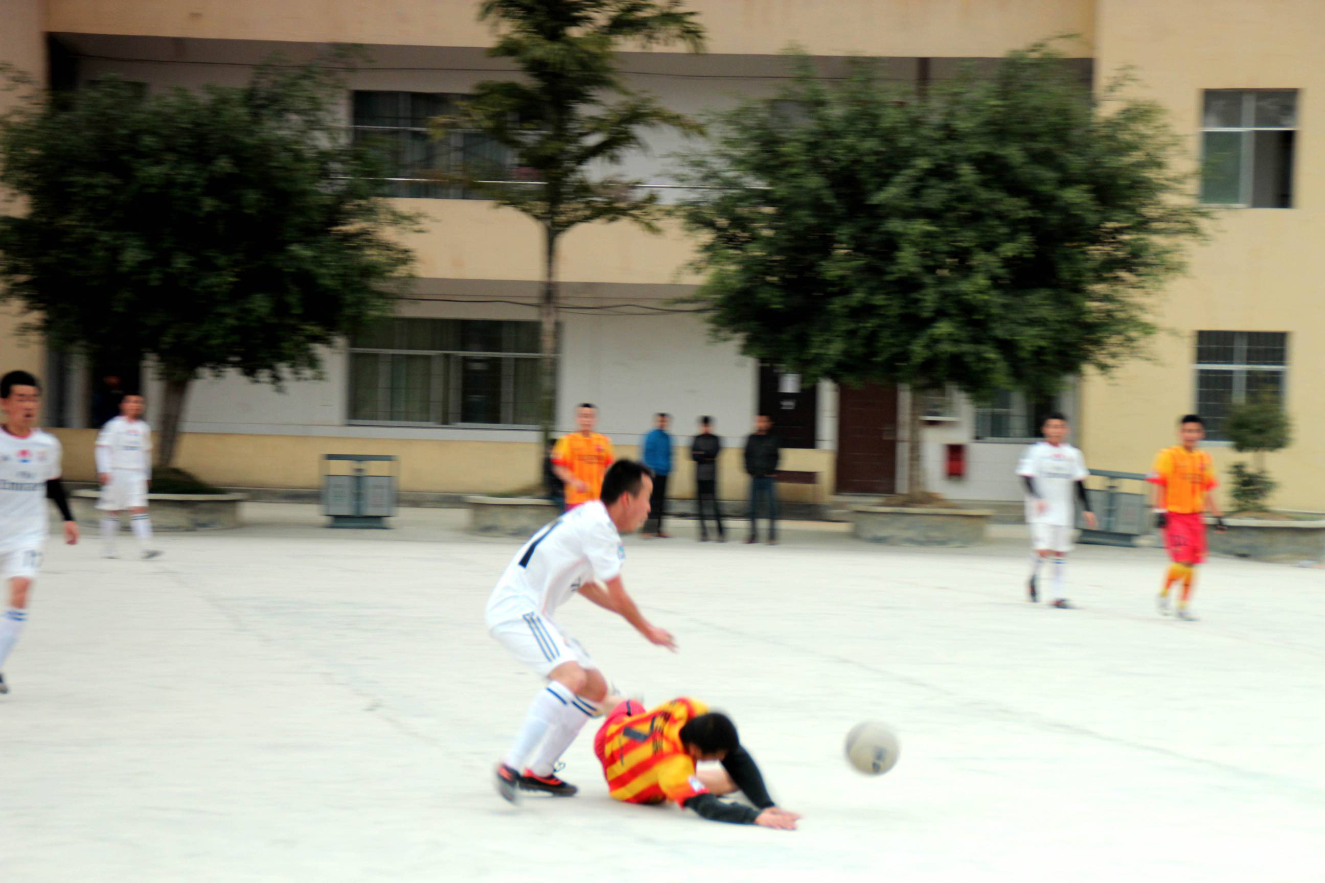 IMG_8469_.jpg