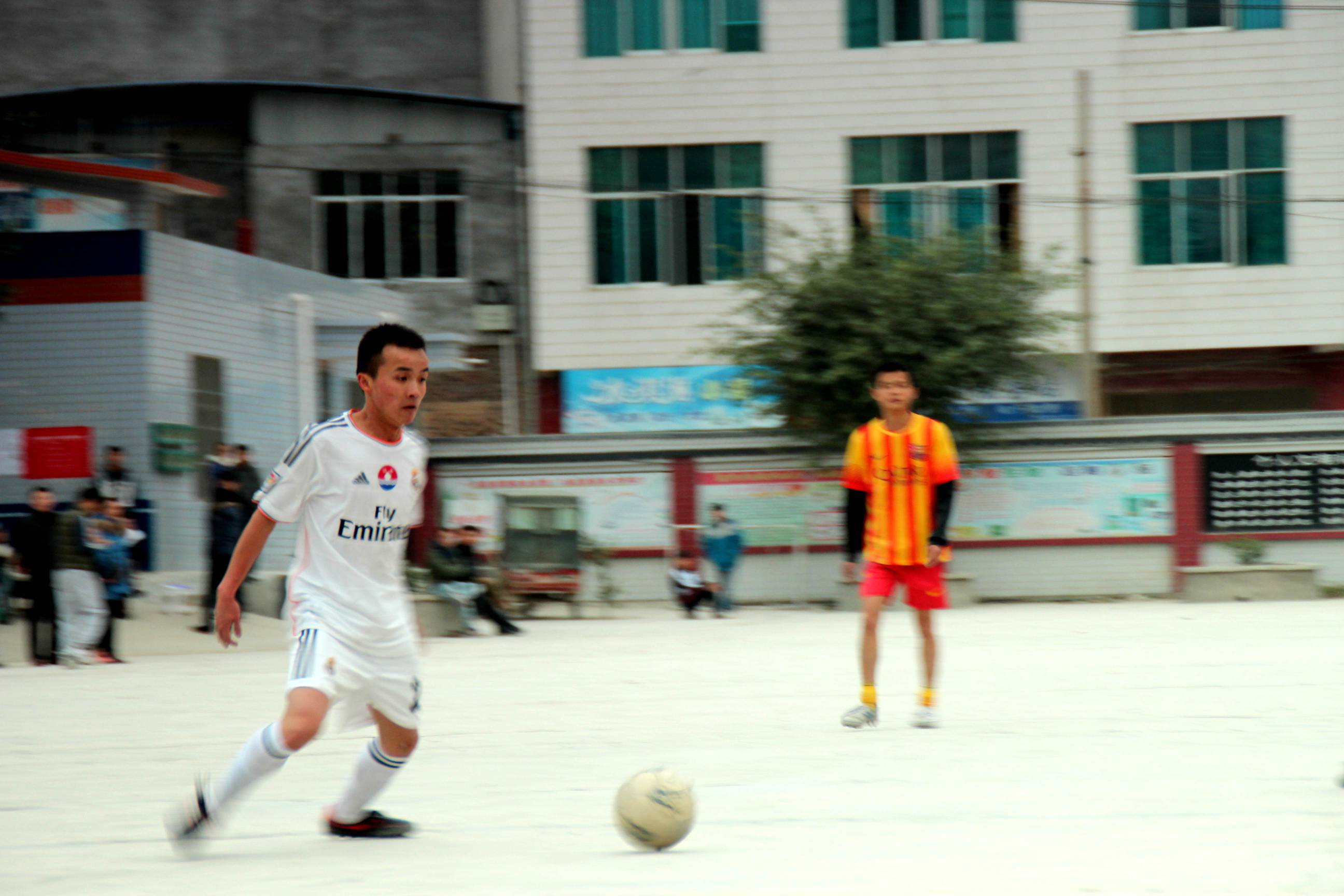 IMG_8483_.jpg