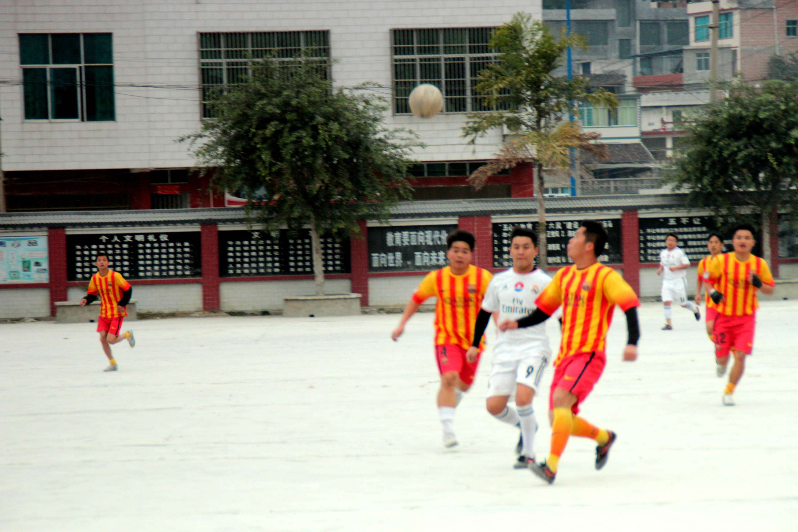 IMG_8493_.jpg