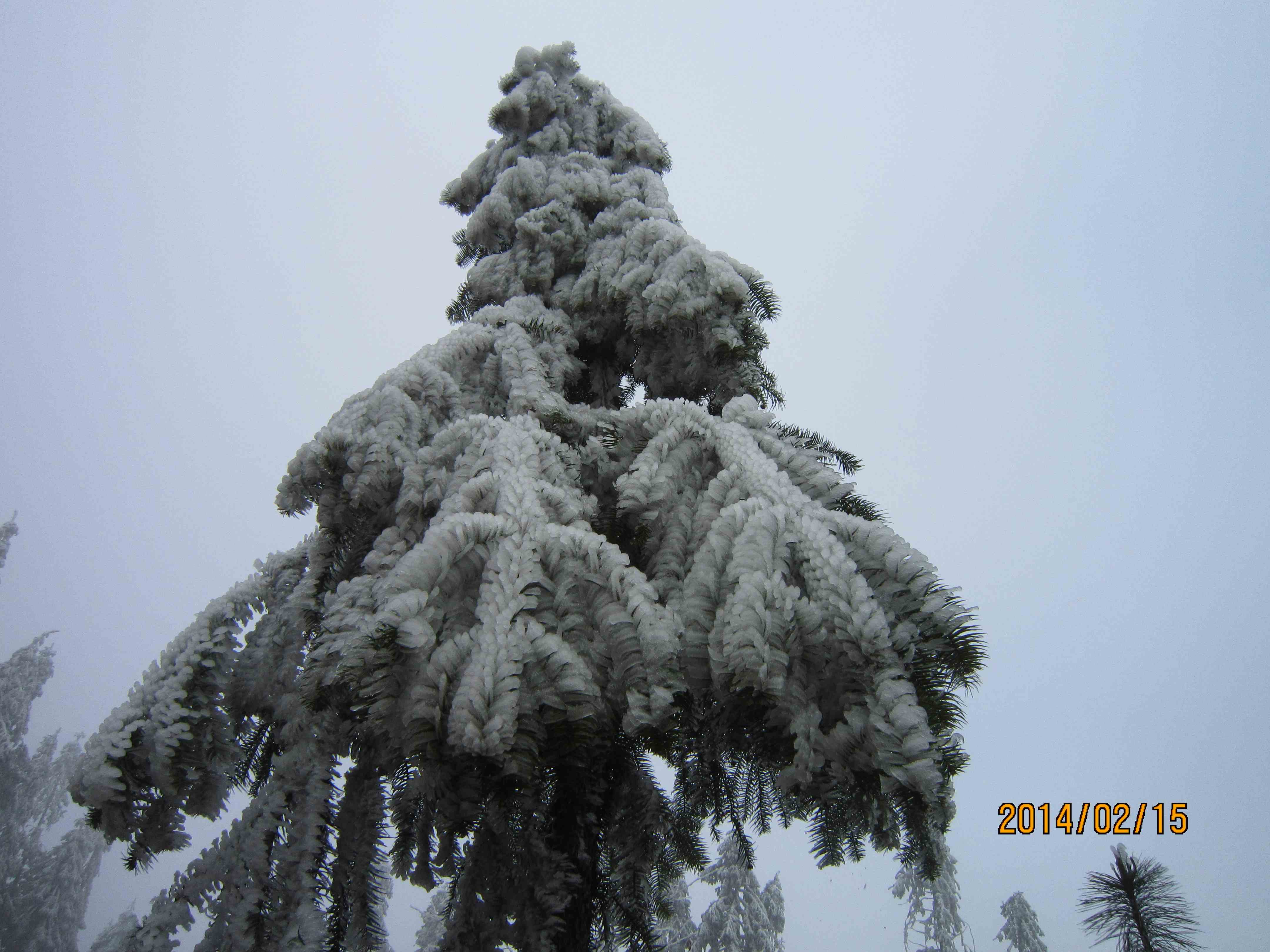 IMG_9590.JPG