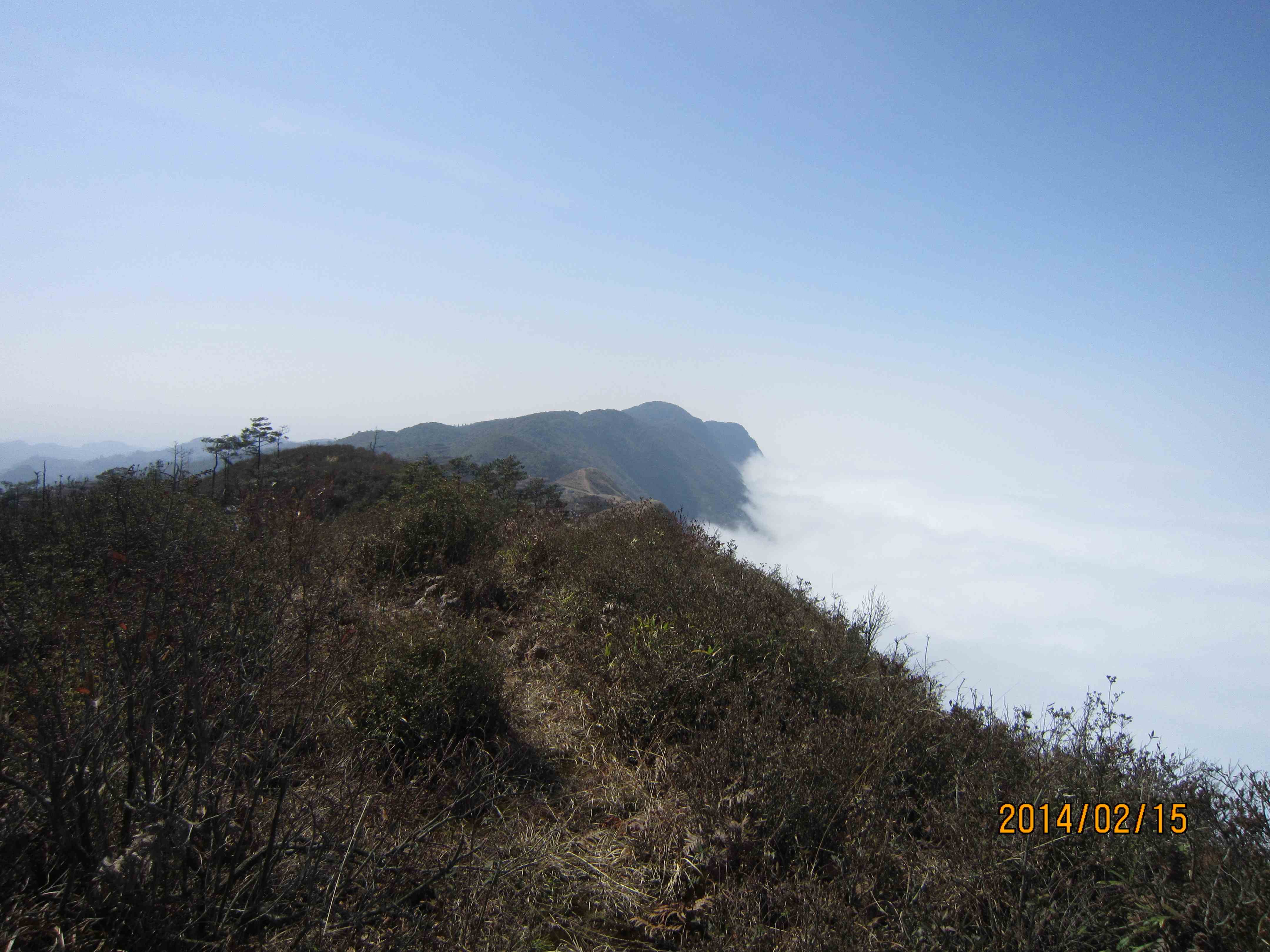 IMG_9832.JPG