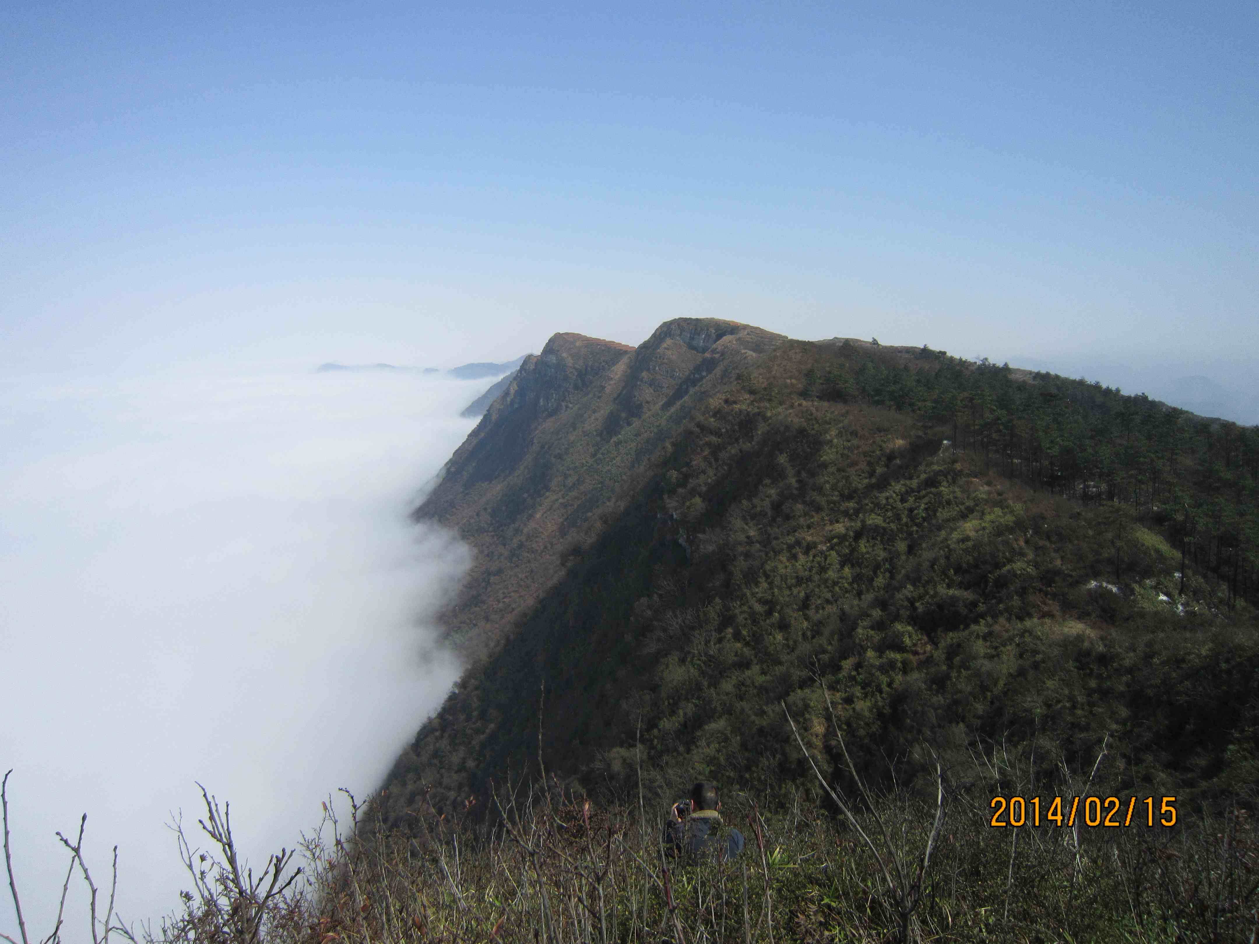 IMG_9875.JPG