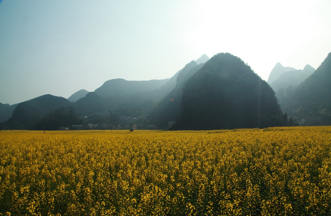 20140219-13.jpg
