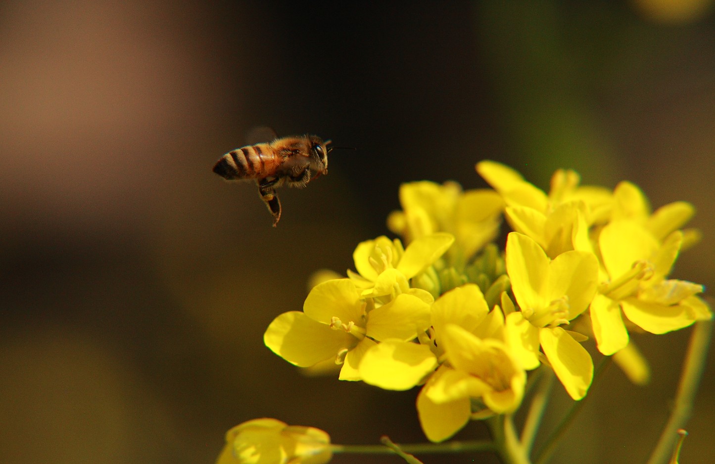 20140219-2.jpg