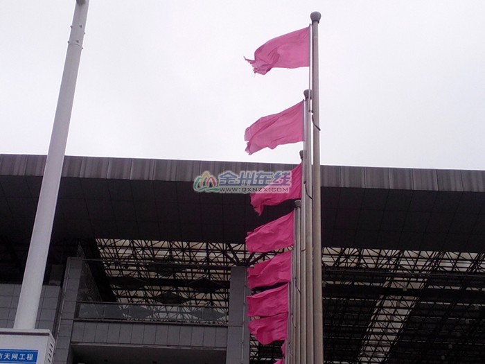 02.jpg