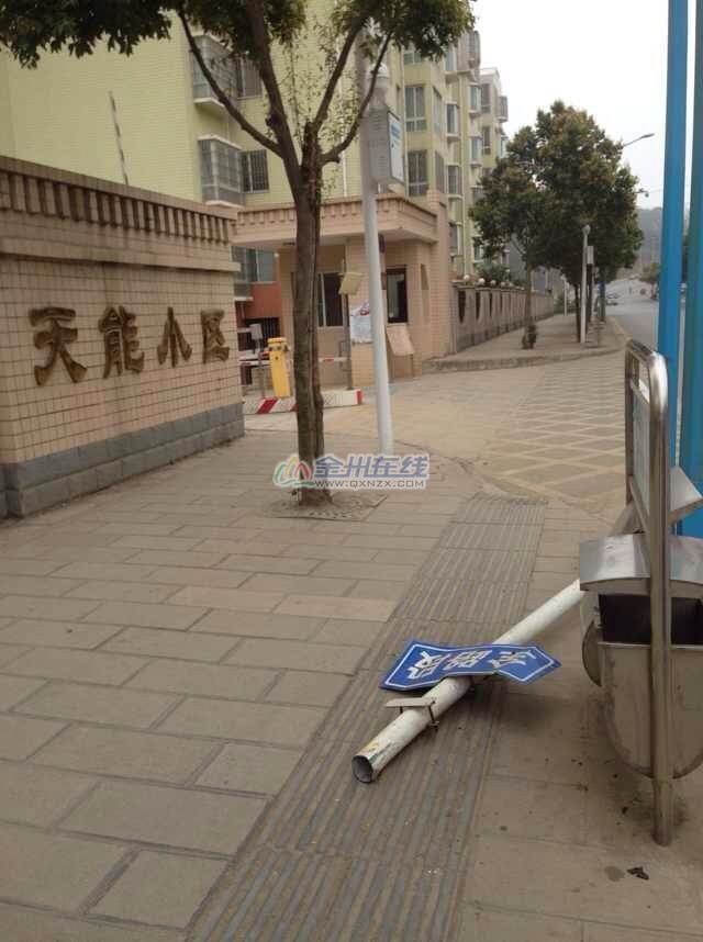 04.jpg