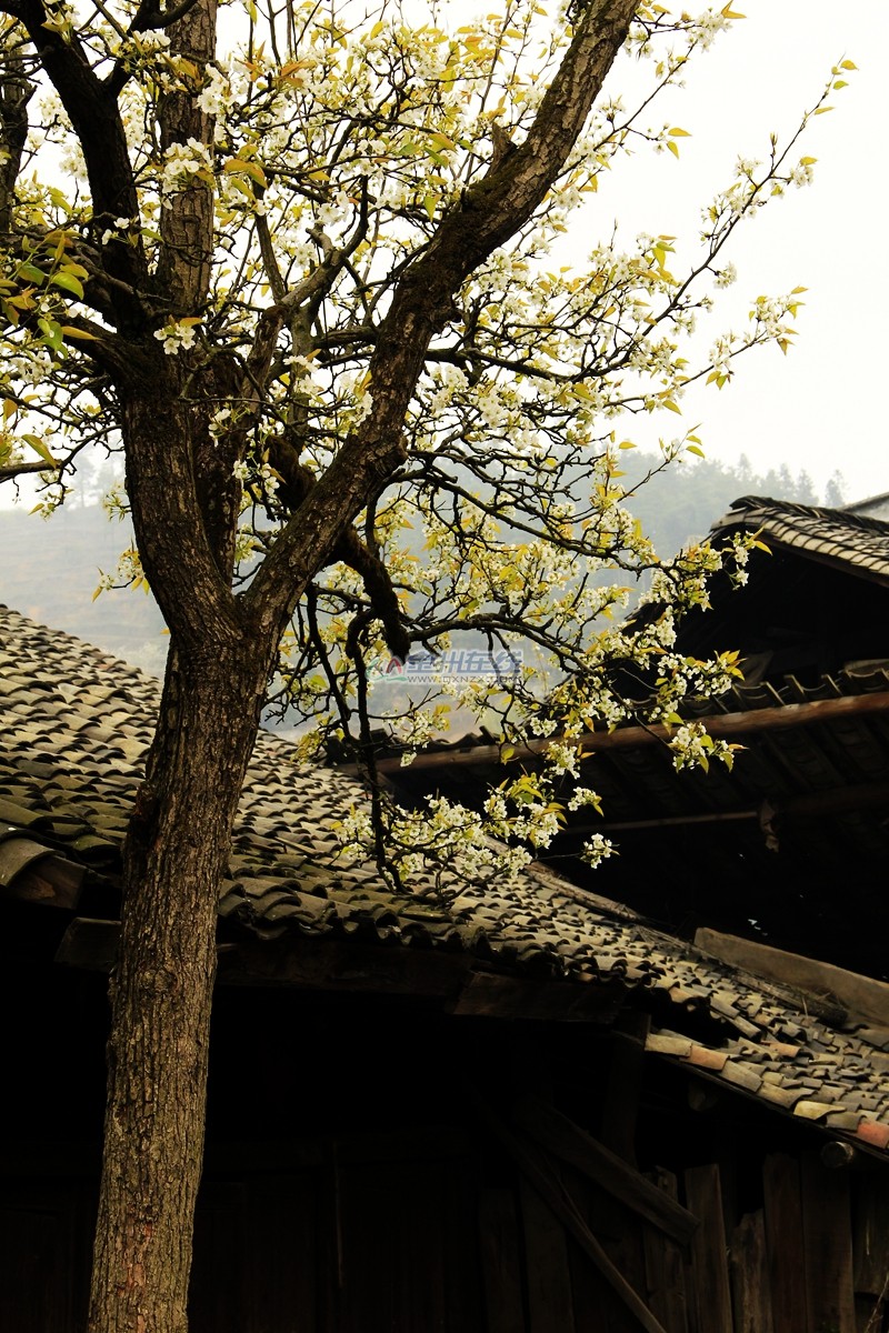 Ƭ 092.jpg