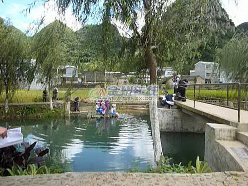 03.jpg