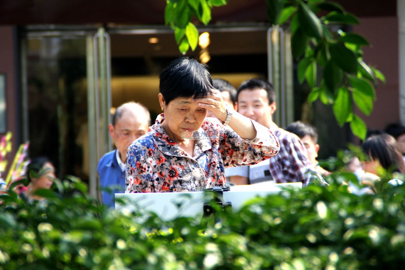 IMG_9295_.jpg