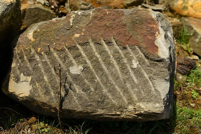 DSC_3280.jpg