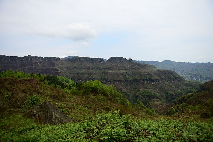 DSC_3531.jpg