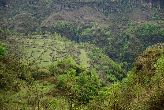 DSC_3545.jpg