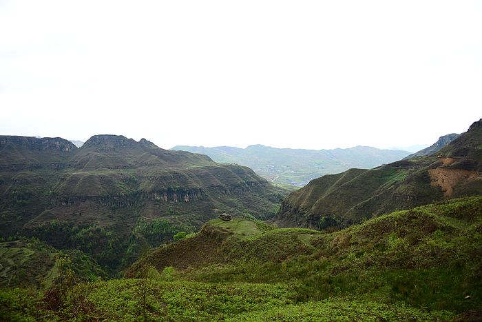 DSC_3553.jpg