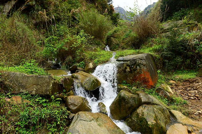 DSC_3852.jpg