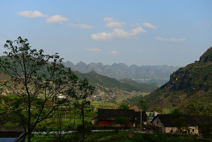 DSC_3980.jpg